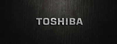 Bitlis Tatvan Toshiba Servisi