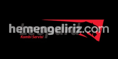 Sinop Erfelek Leopard Servisi