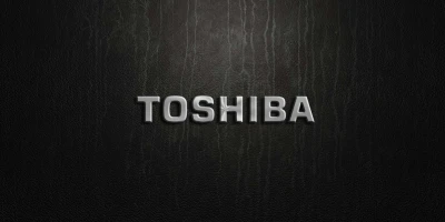 Bitlis Tatvan Toshiba Servisi